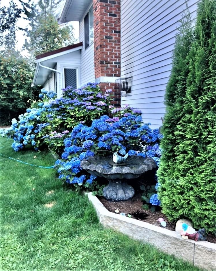 Listing Image 34