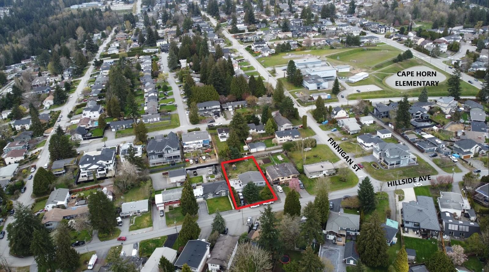 Listing Image 6