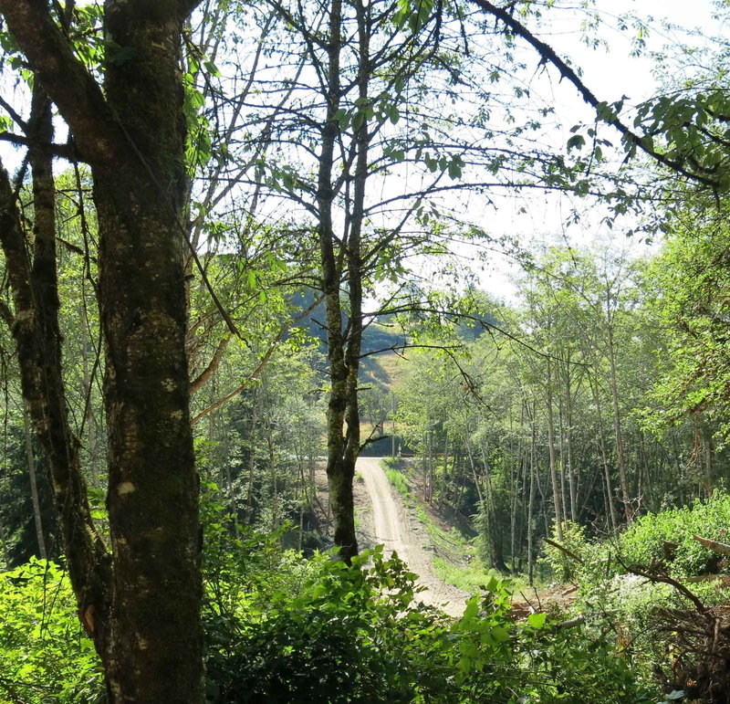 48875 Elk View Road, Chilliwack, V4Z 1G7 | Image 3