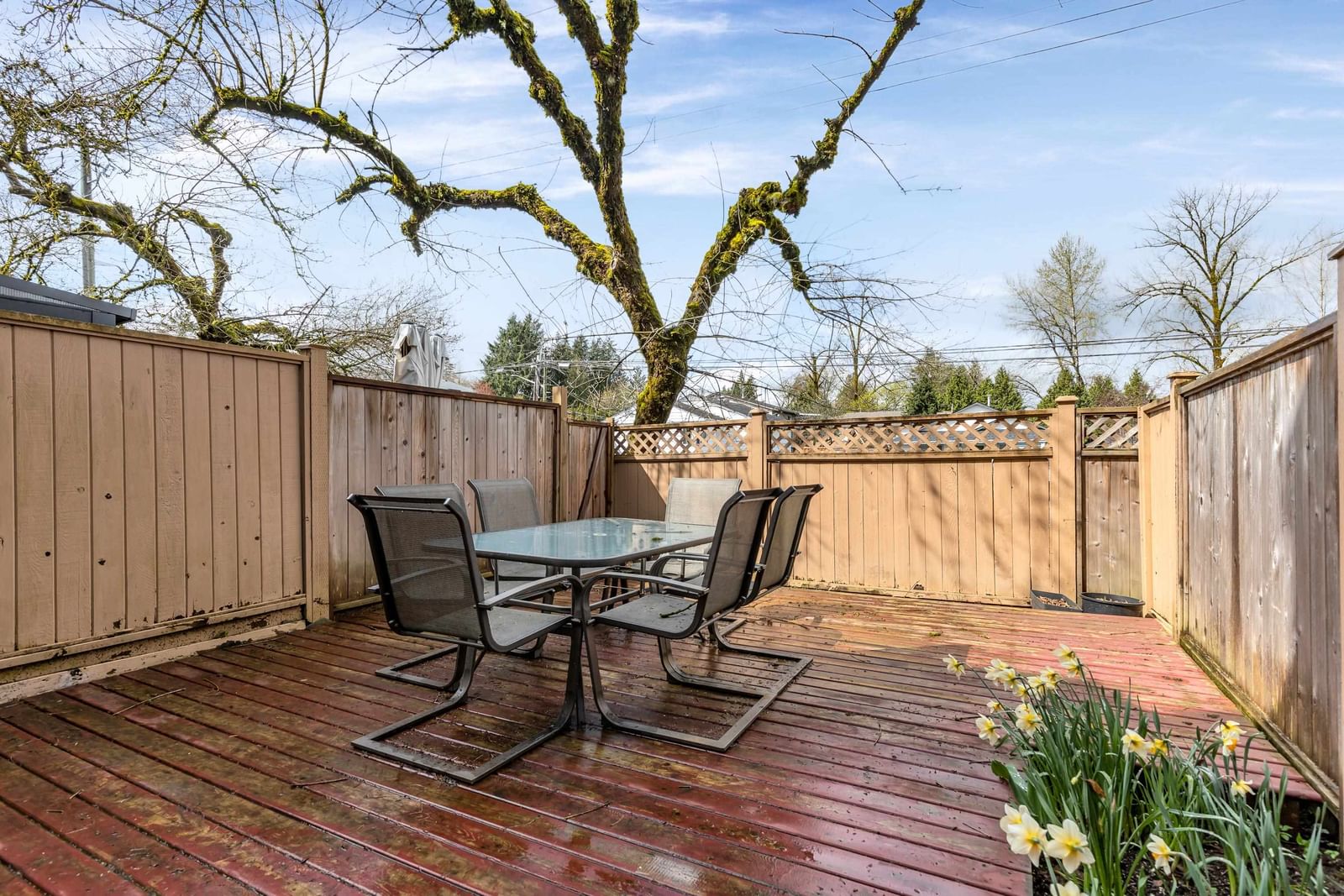 Listing Image 18