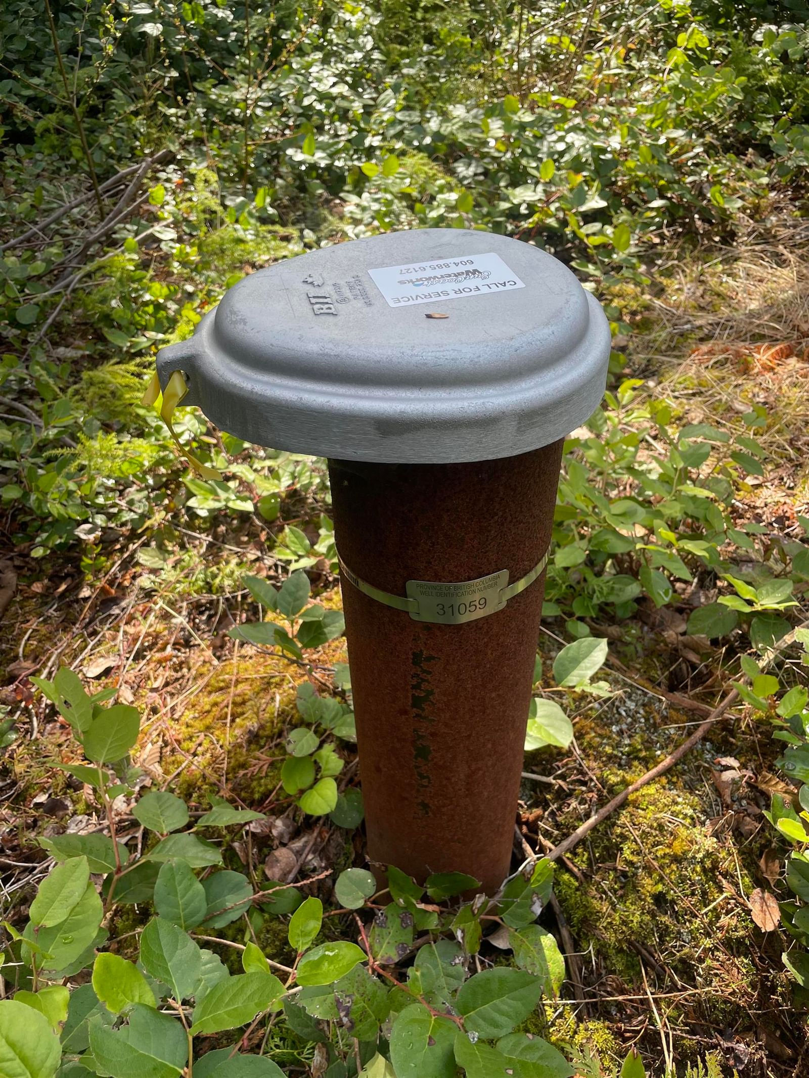Listing Image 6