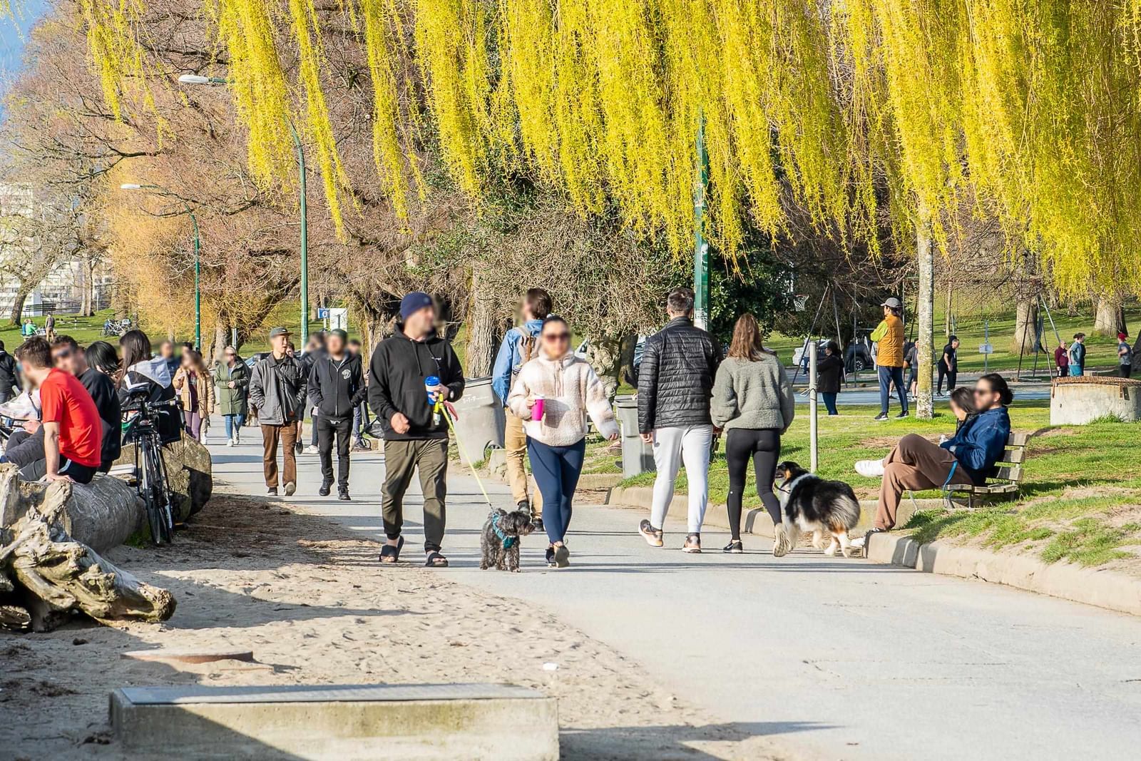 Listing Image 34