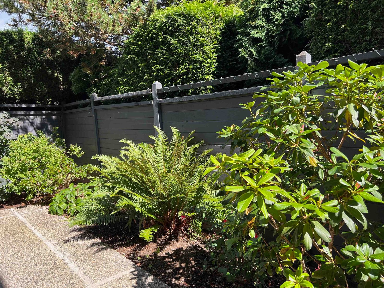 Listing Image 16