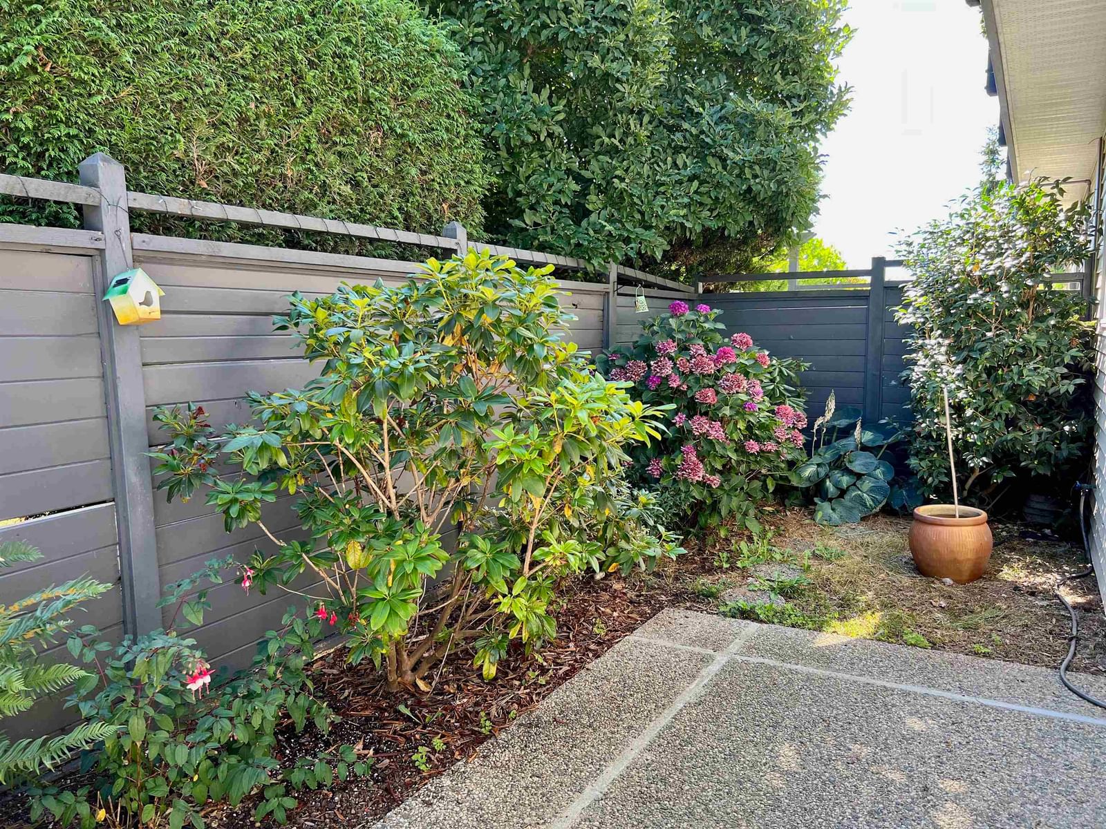 Listing Image 20