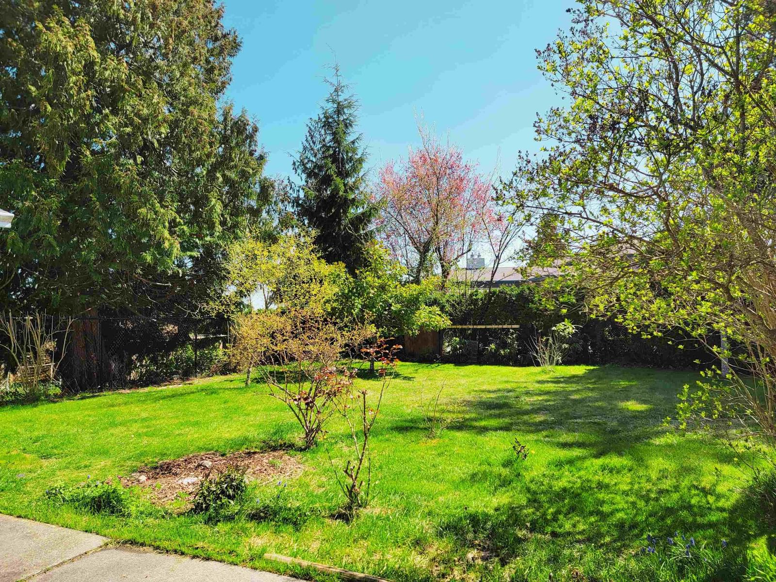 Listing Image 18