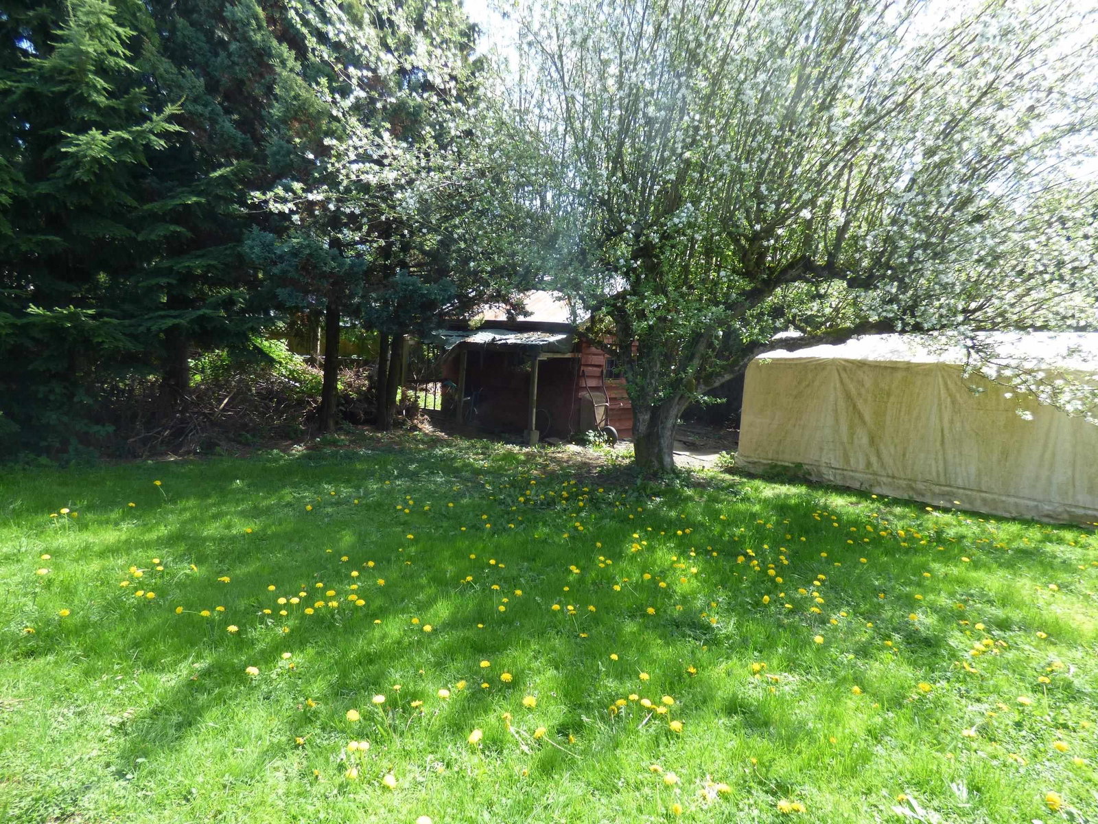 Listing Image 18
