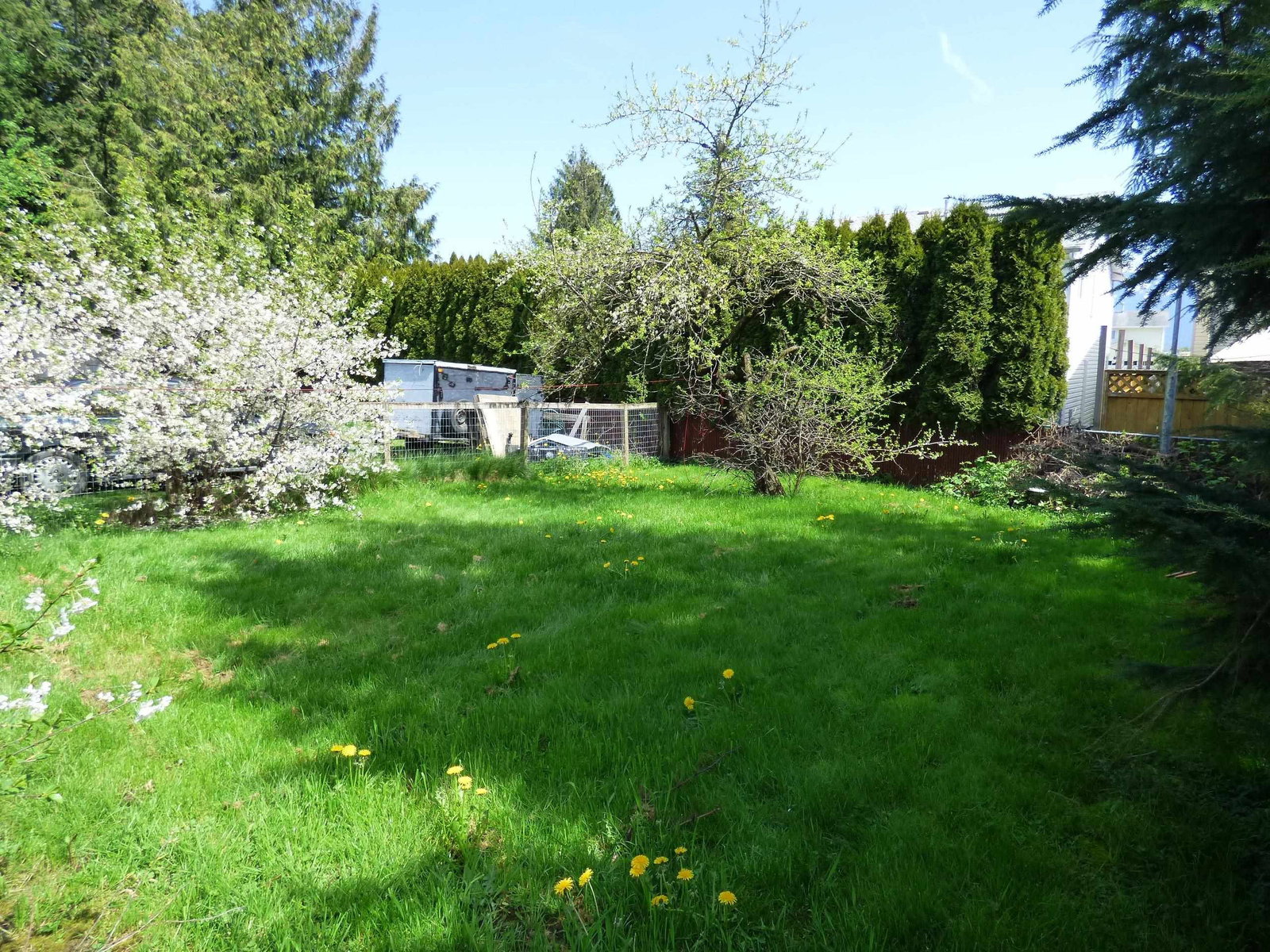 Listing Image 20