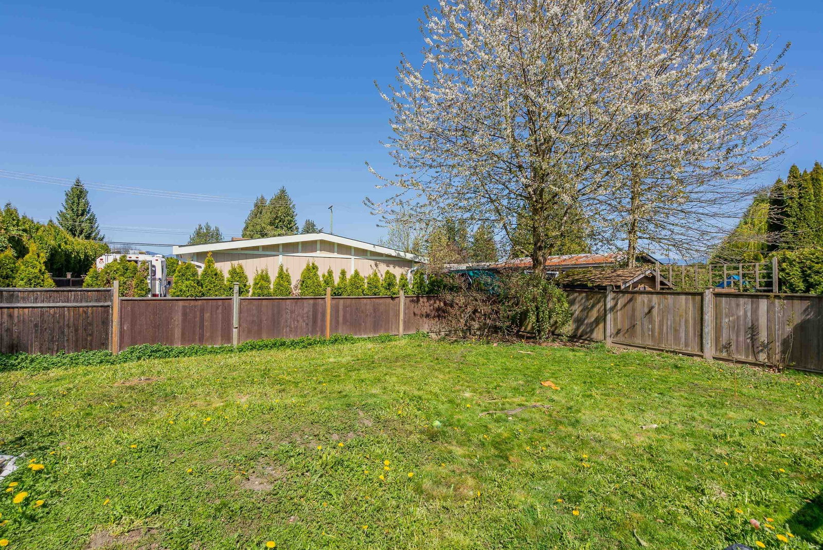 Listing Image 27