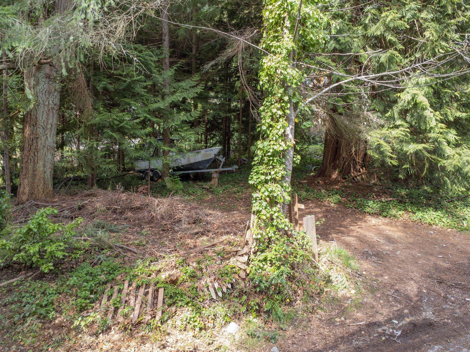 Listing Image 34