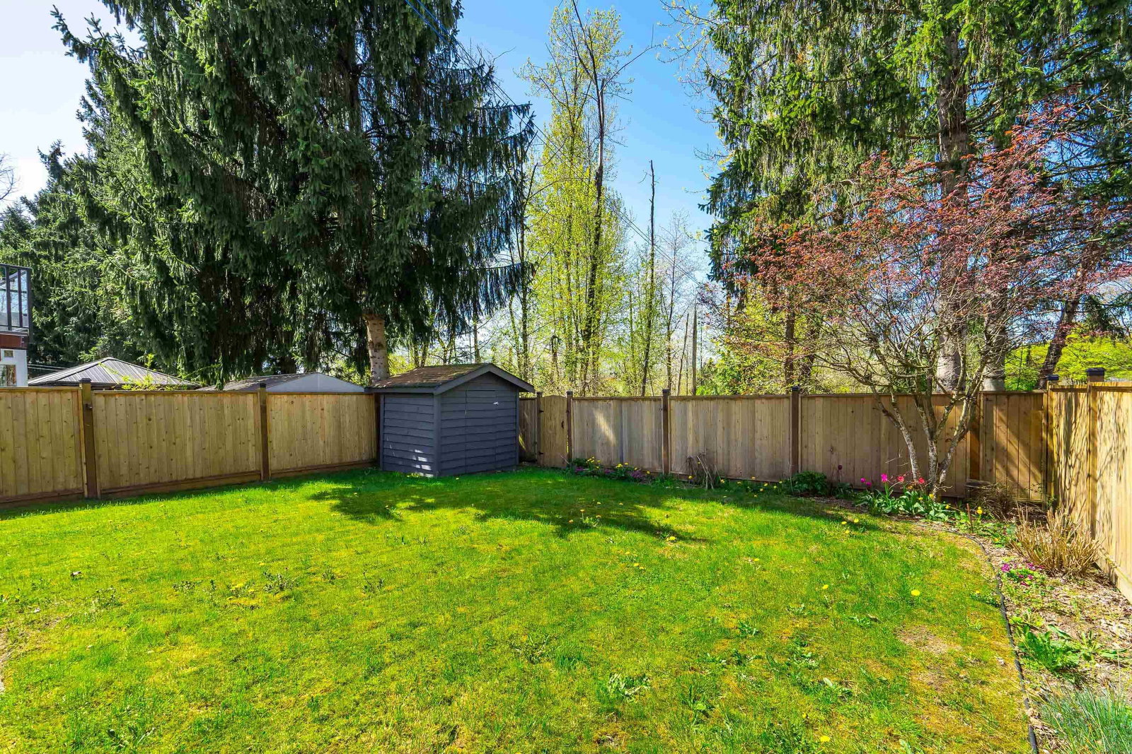 Listing Image 35