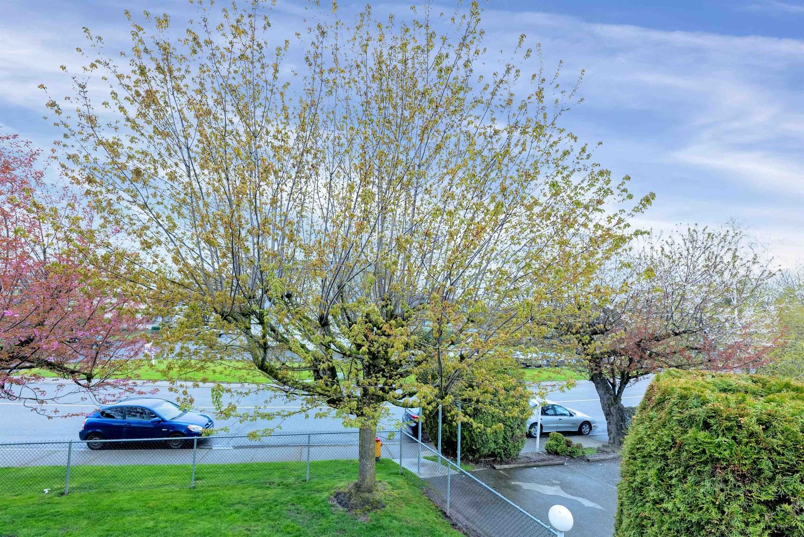 Listing Image 24