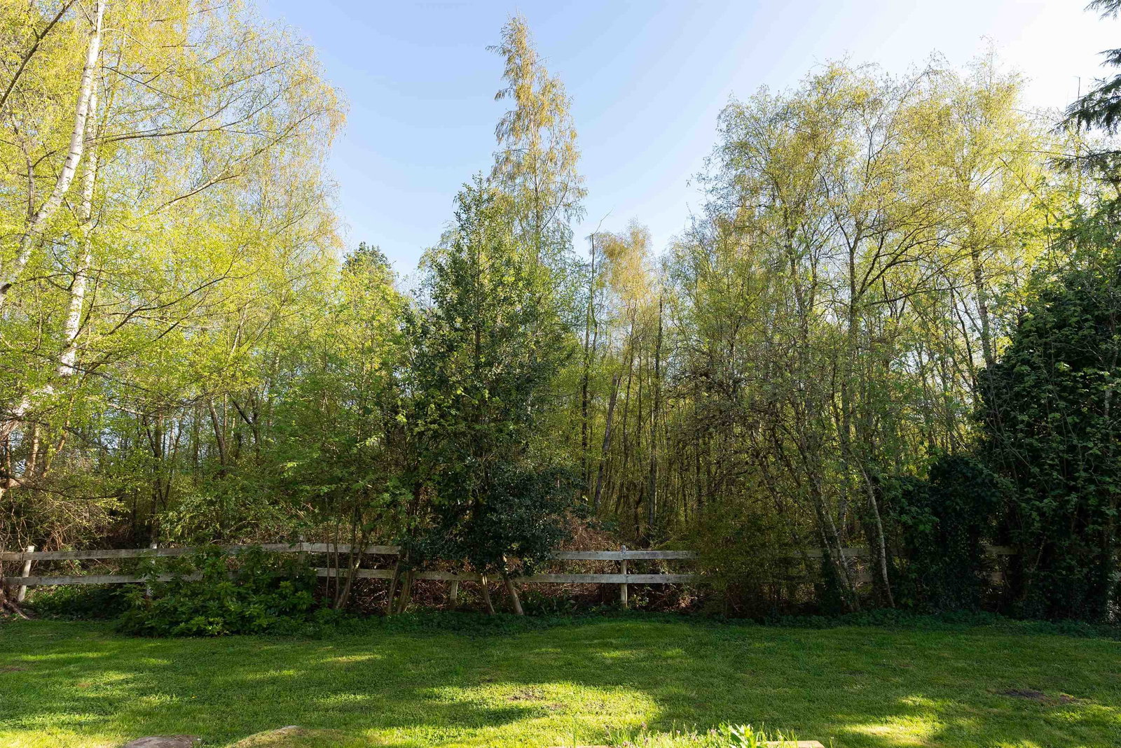 Listing Image 32