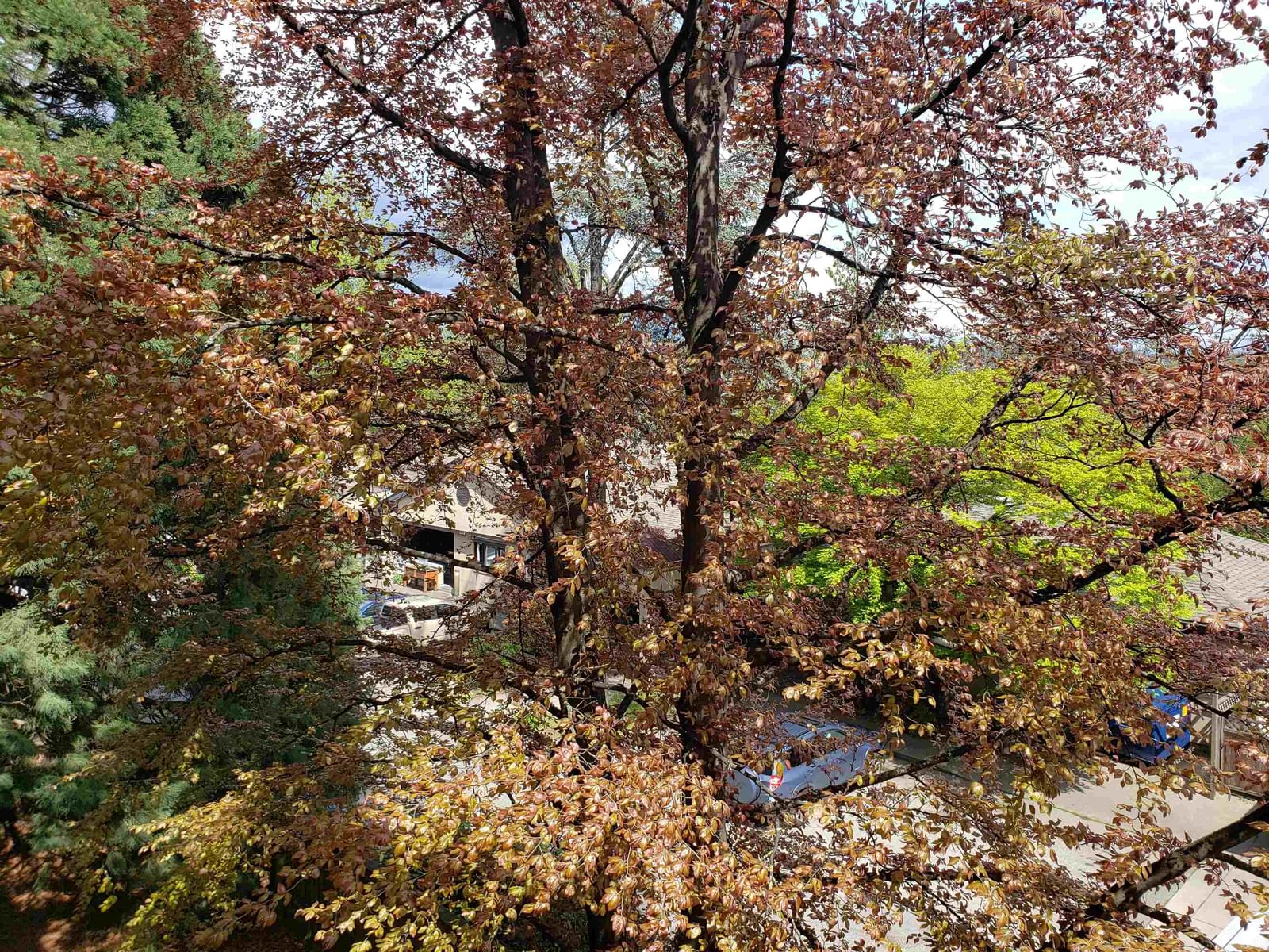 Listing Image 11