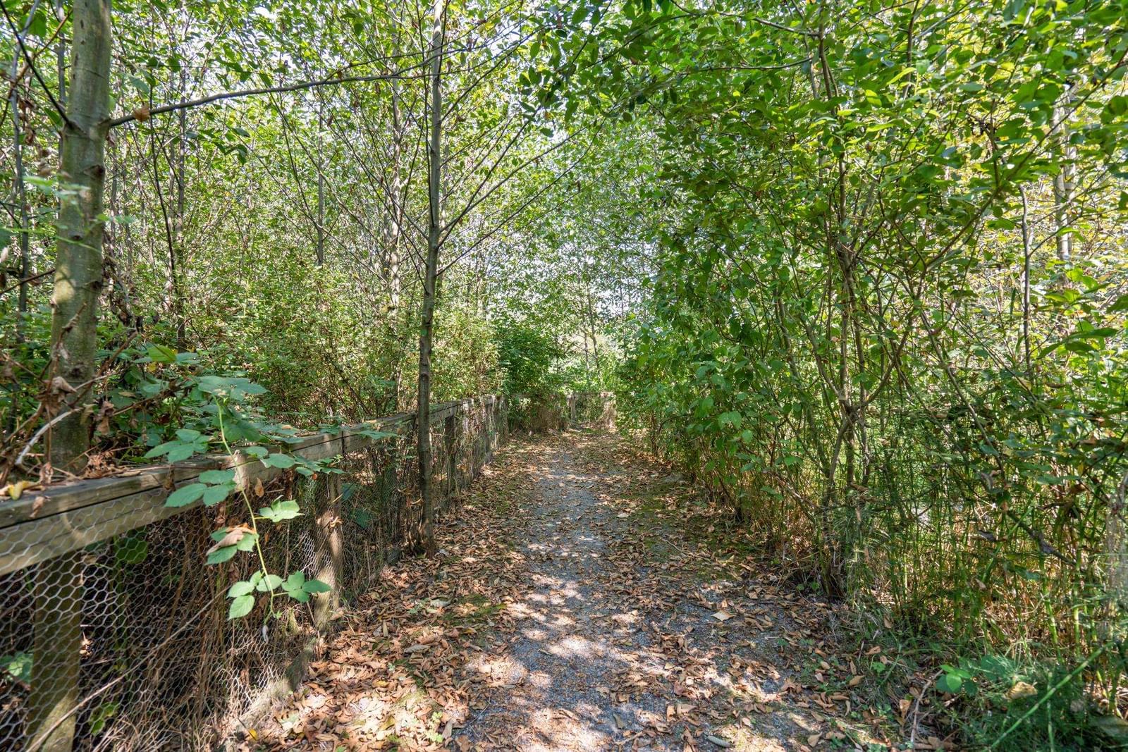 Listing Image 30