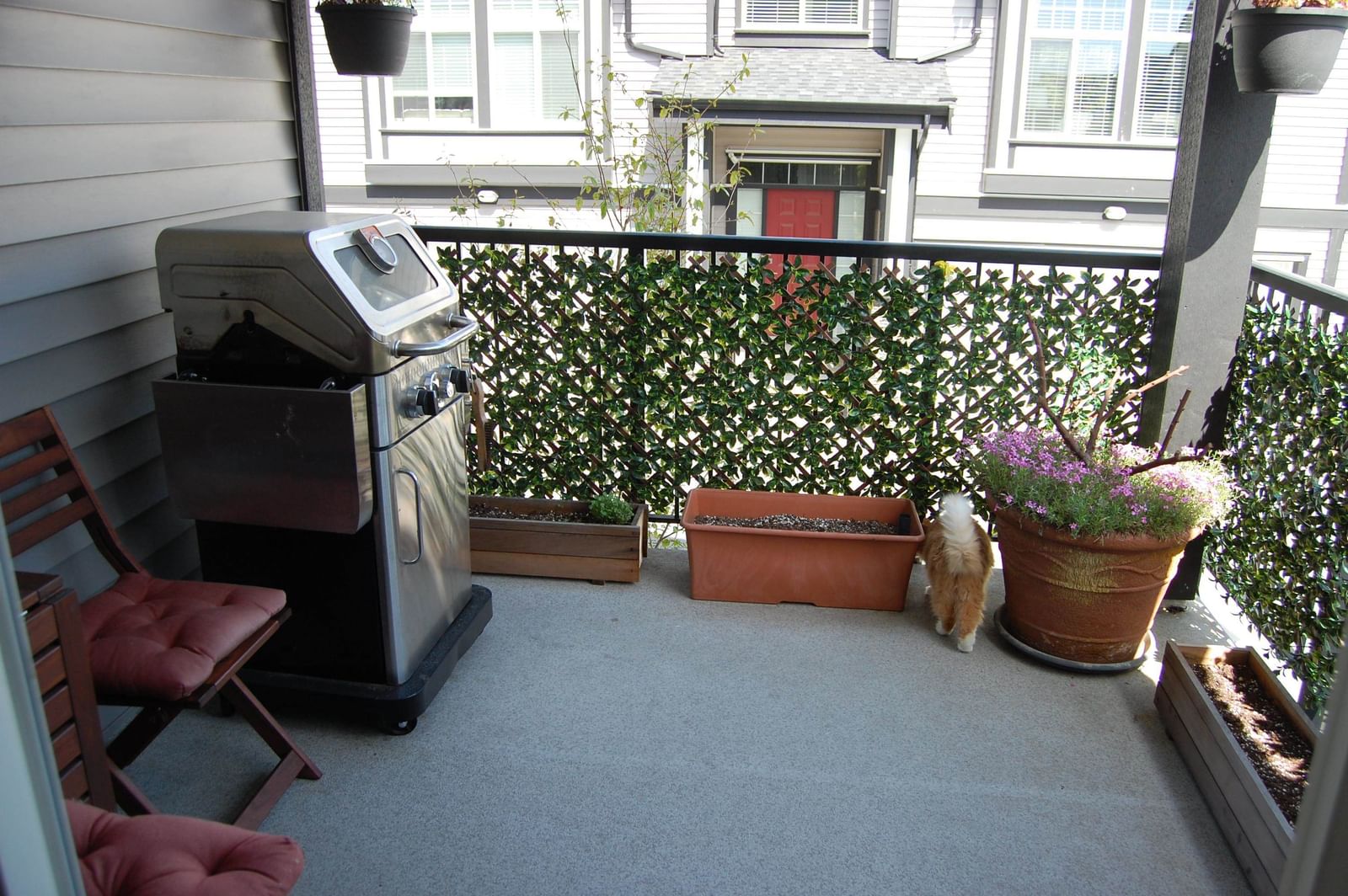 Listing Image 13