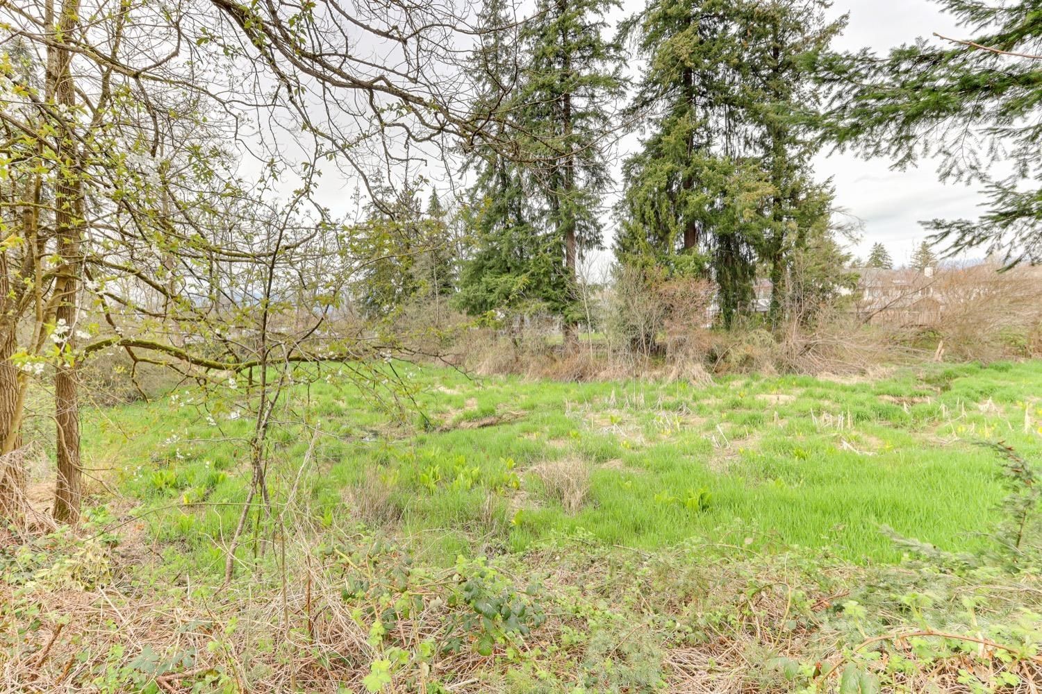 Listing Image 36