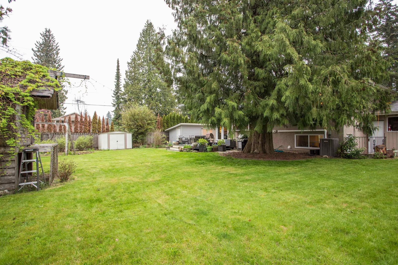 Listing Image 31