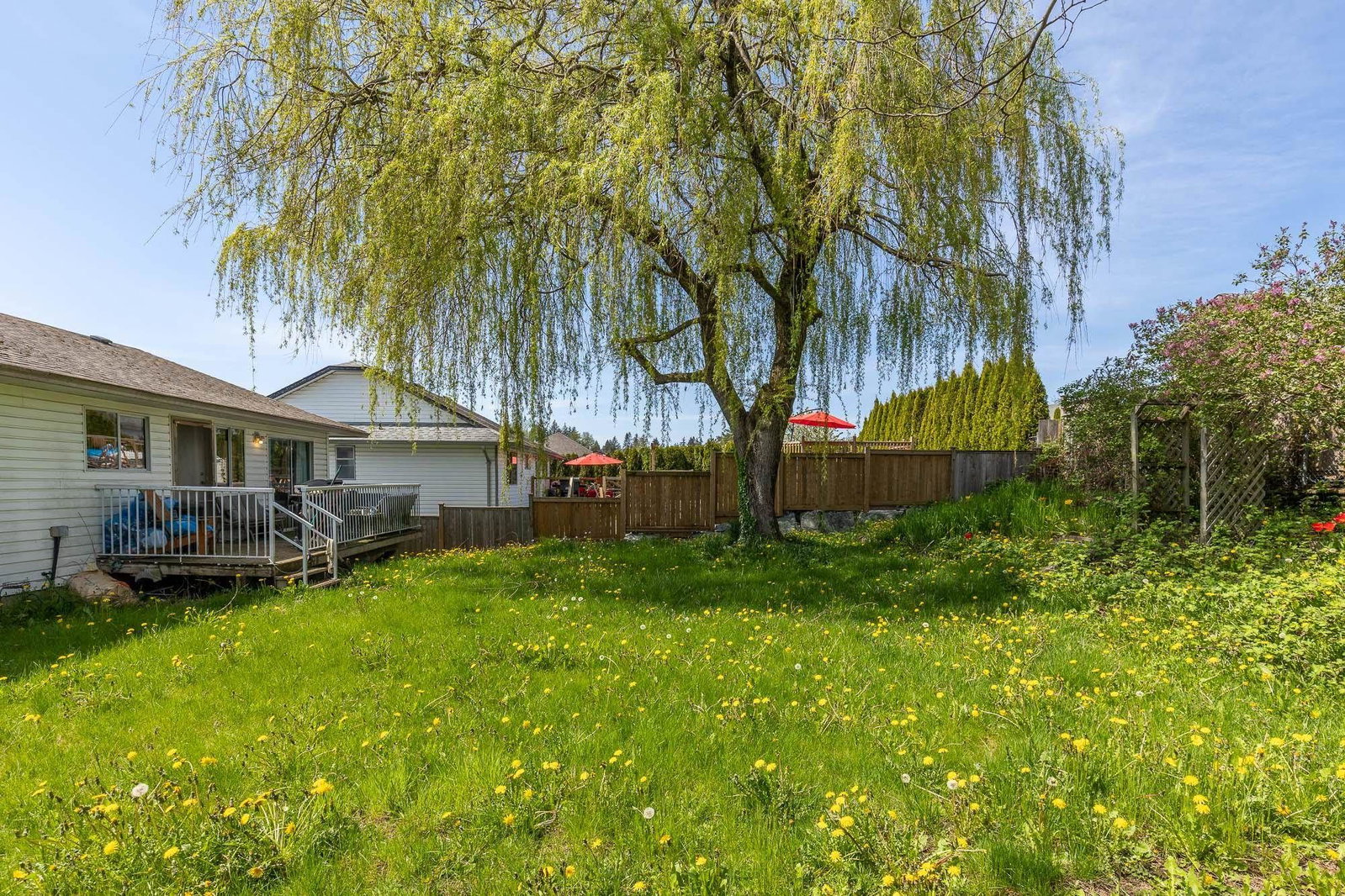 Listing Image 32