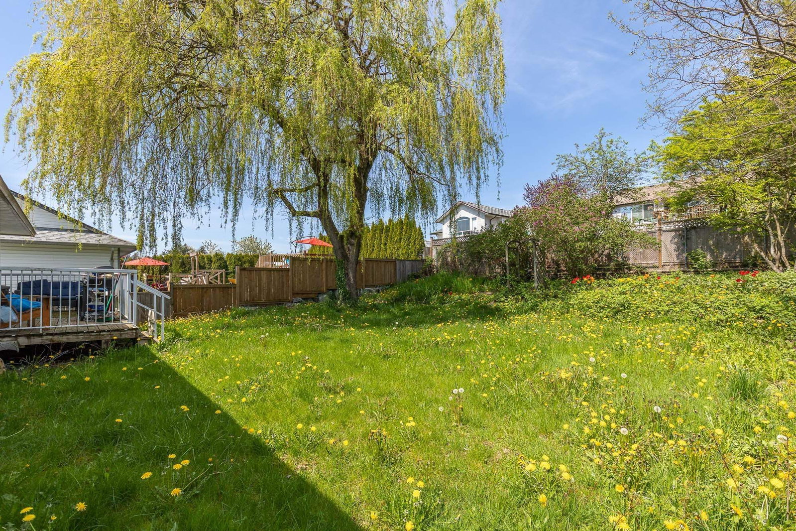 Listing Image 33