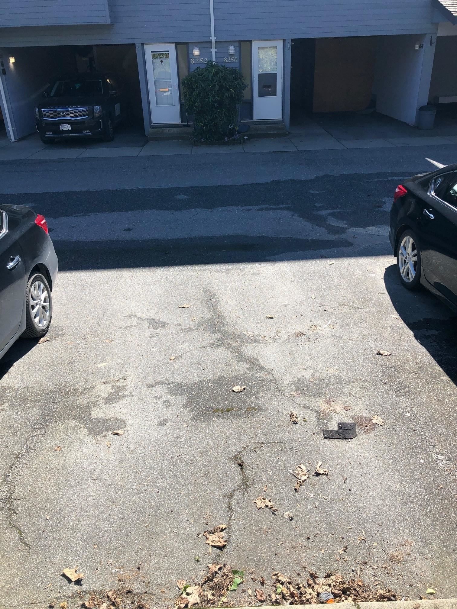 Listing Image 24