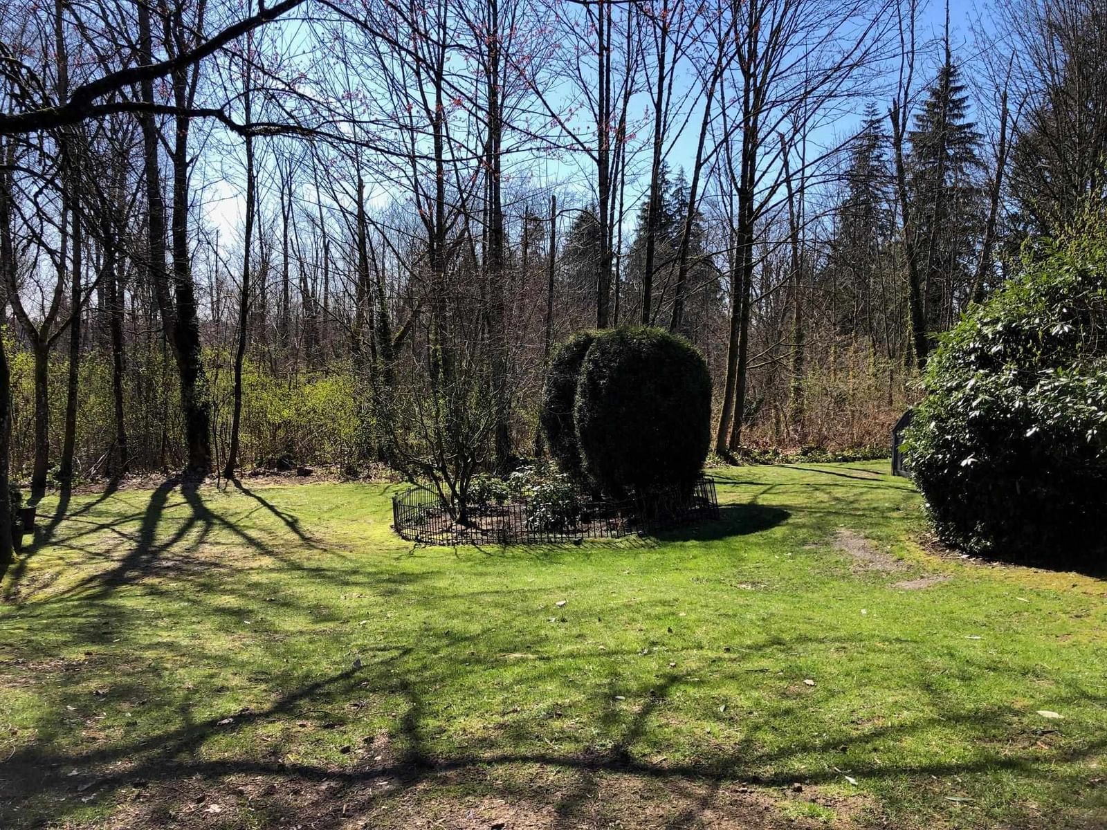 Listing Image 26