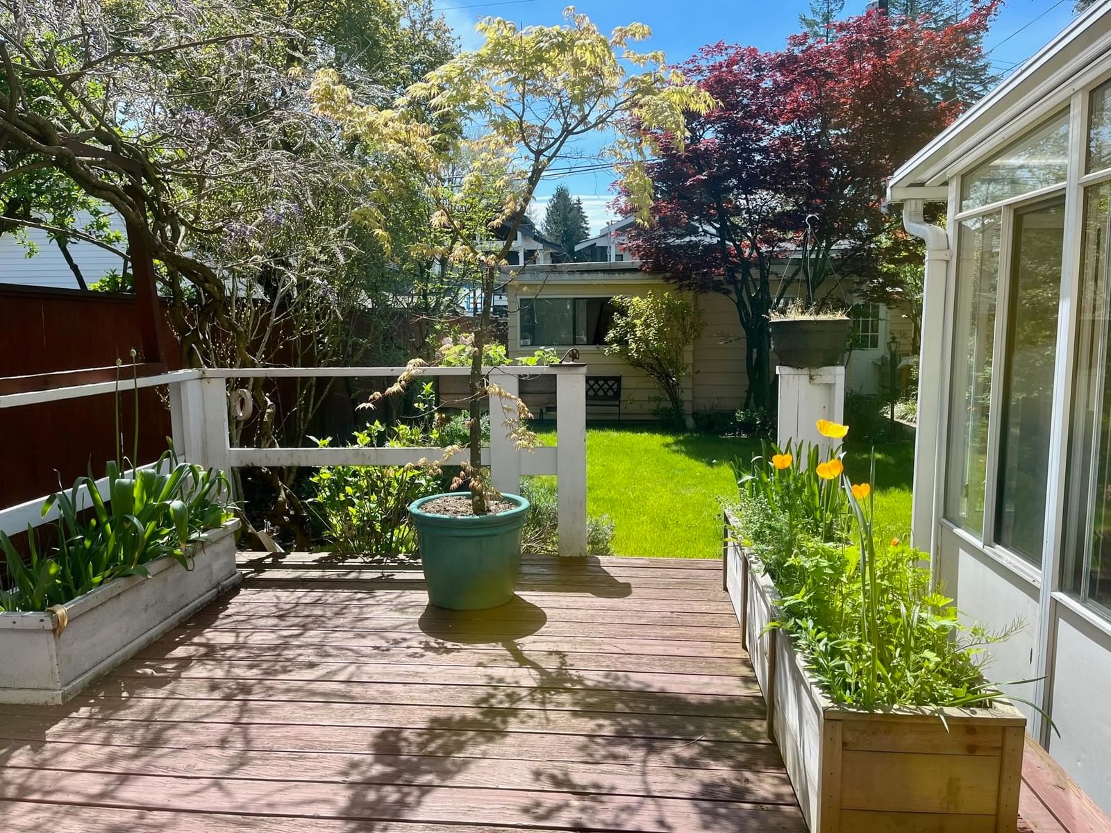Listing Image 20