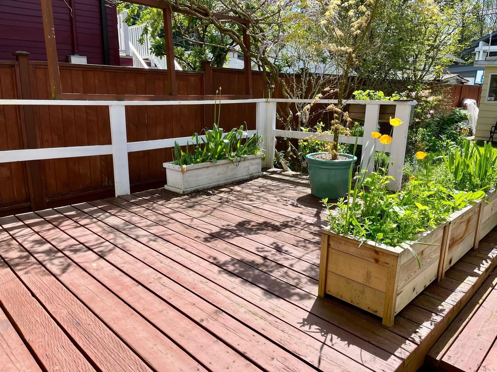 Listing Image 21