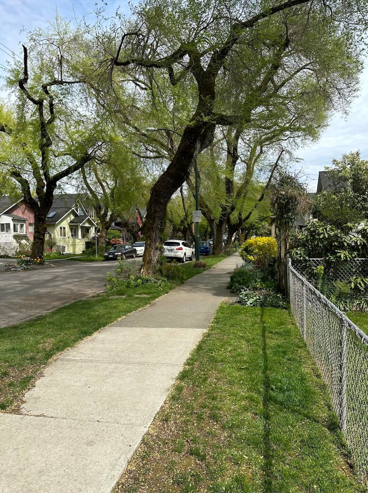 Listing Image 17