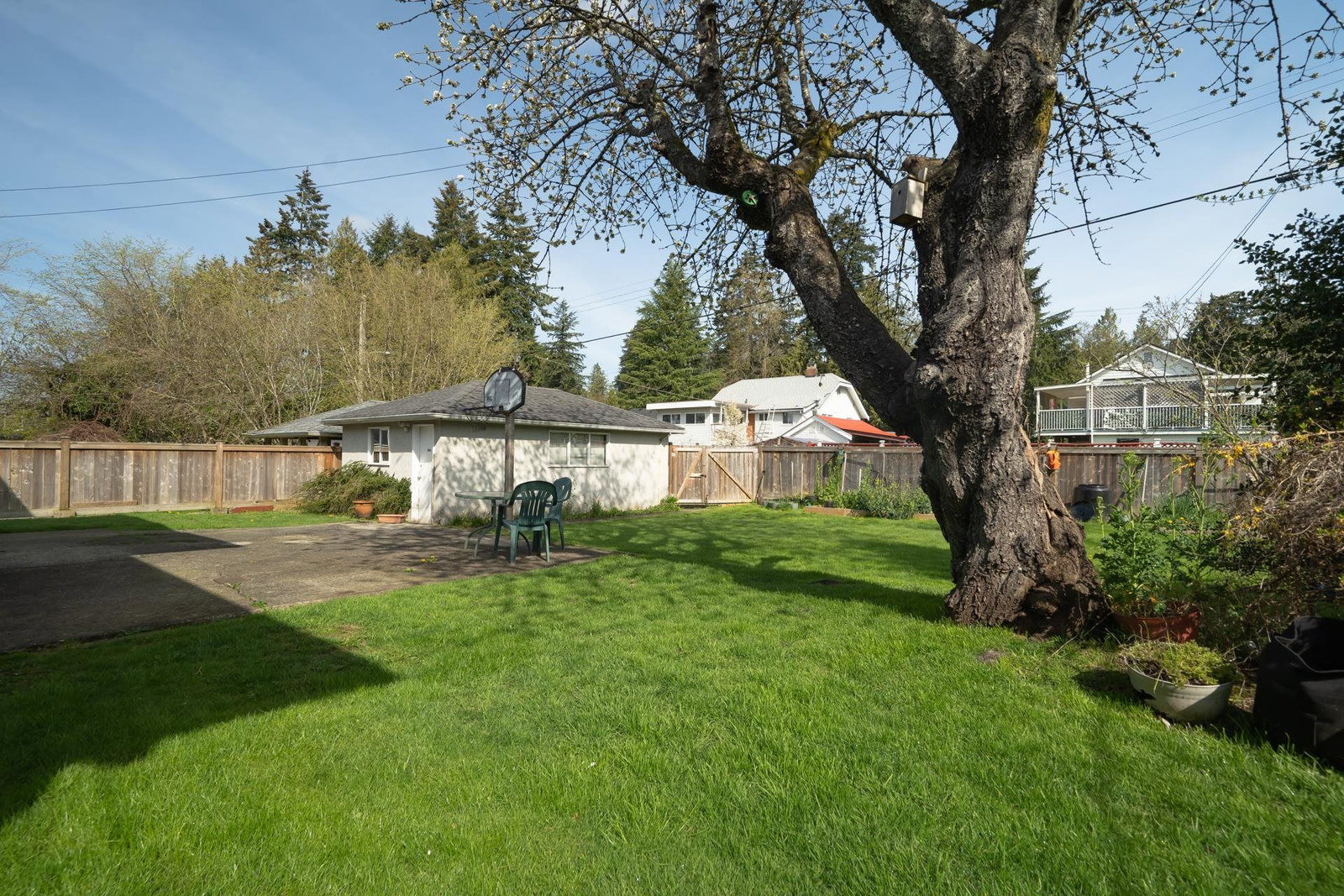 Listing Image 29