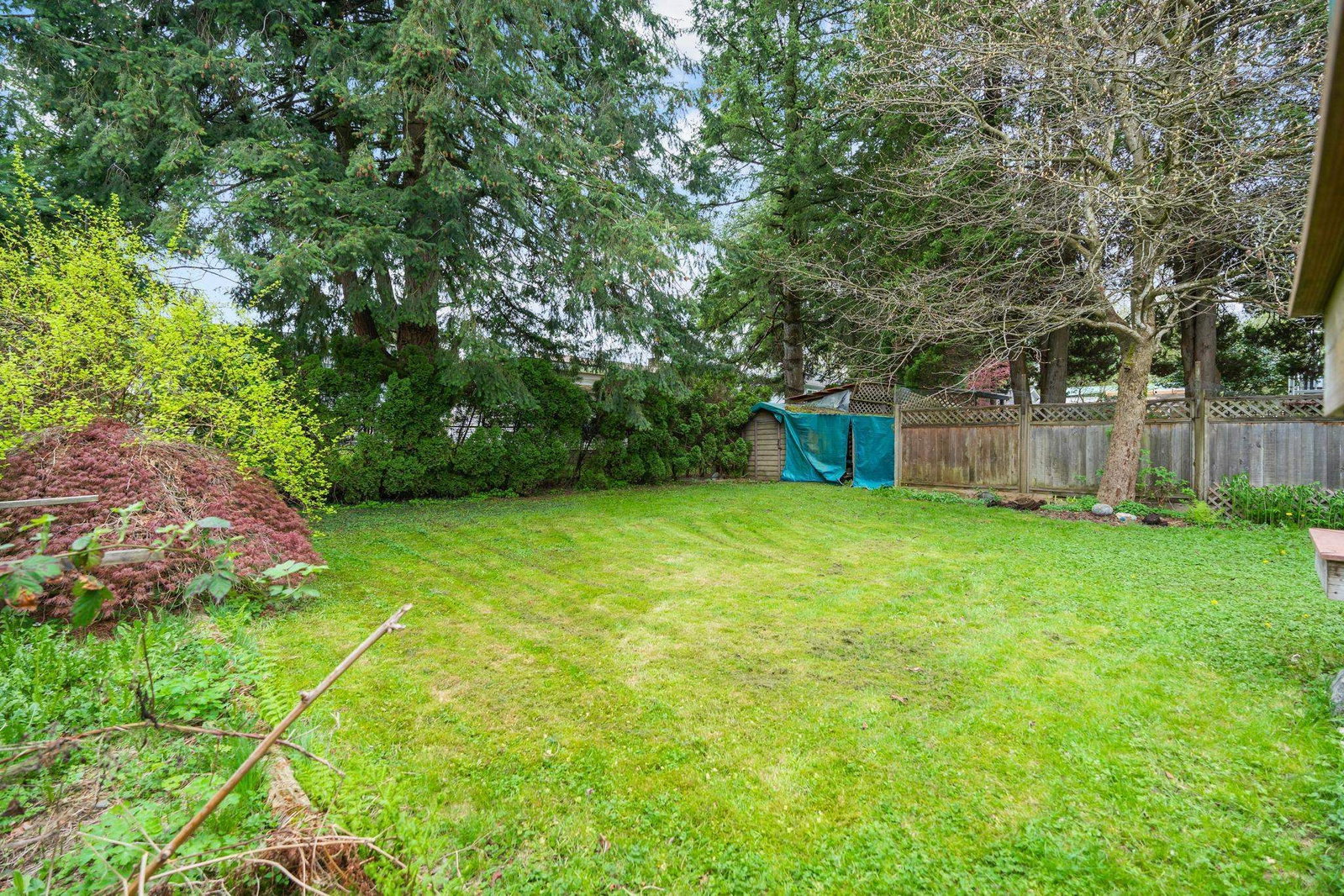 Listing Image 27