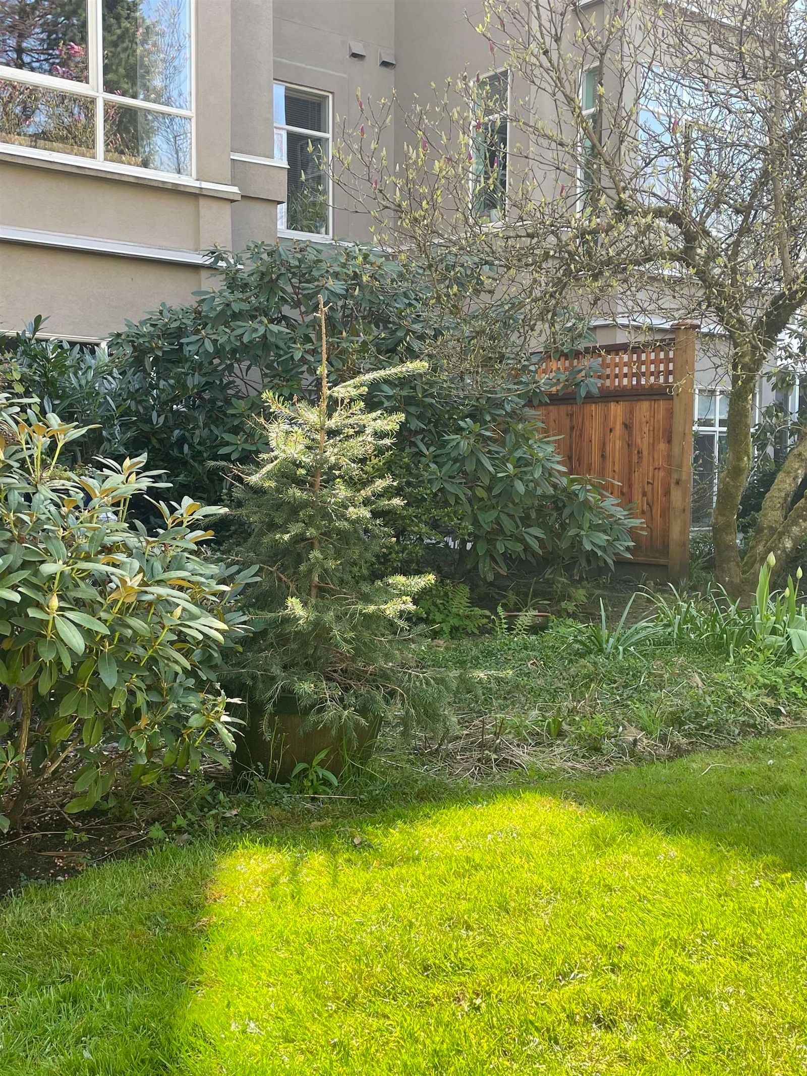 Listing Image 6