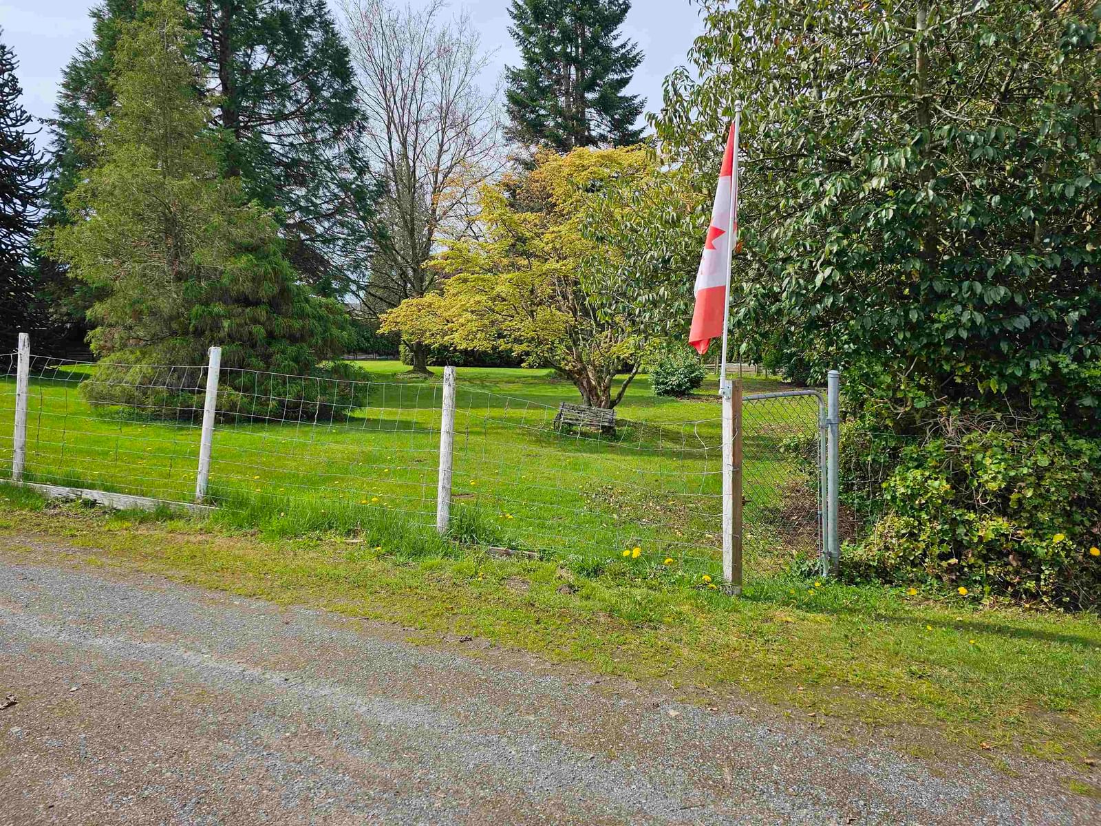 Listing Image 10