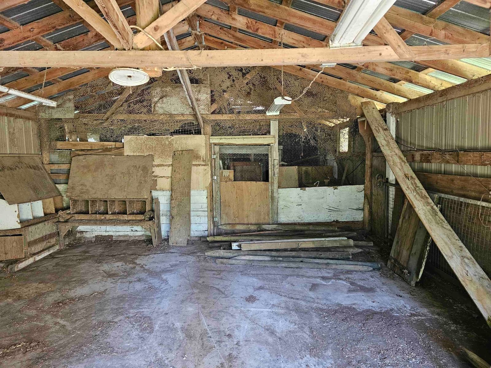Listing Image 12