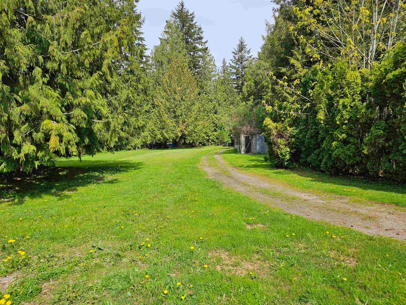Listing Image 9