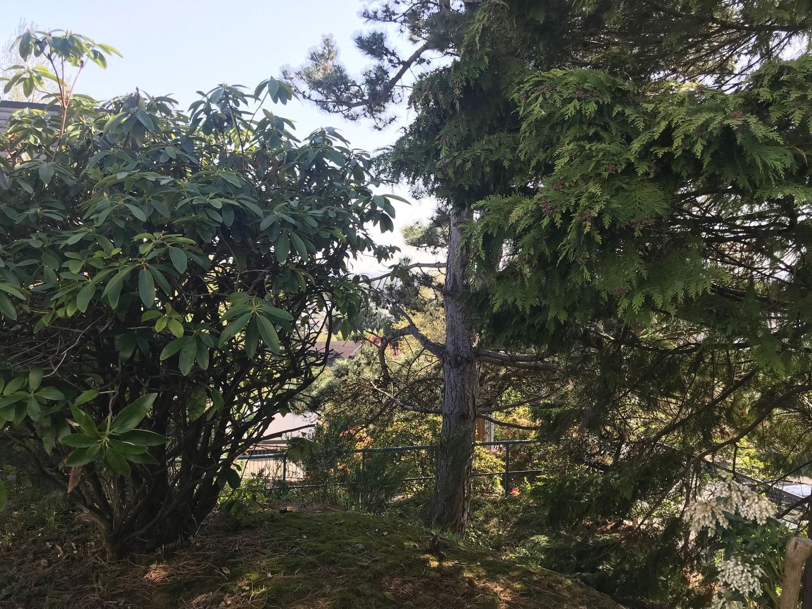 Listing Image 13
