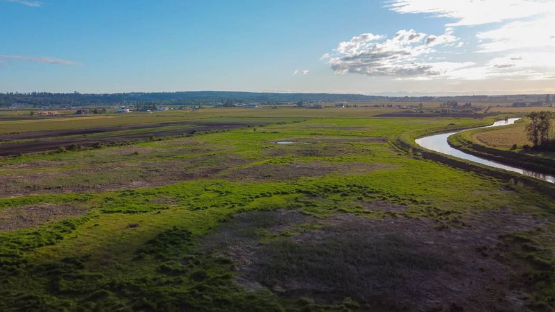 4441 176 Street, Surrey, V3S 0L5 | Image 3