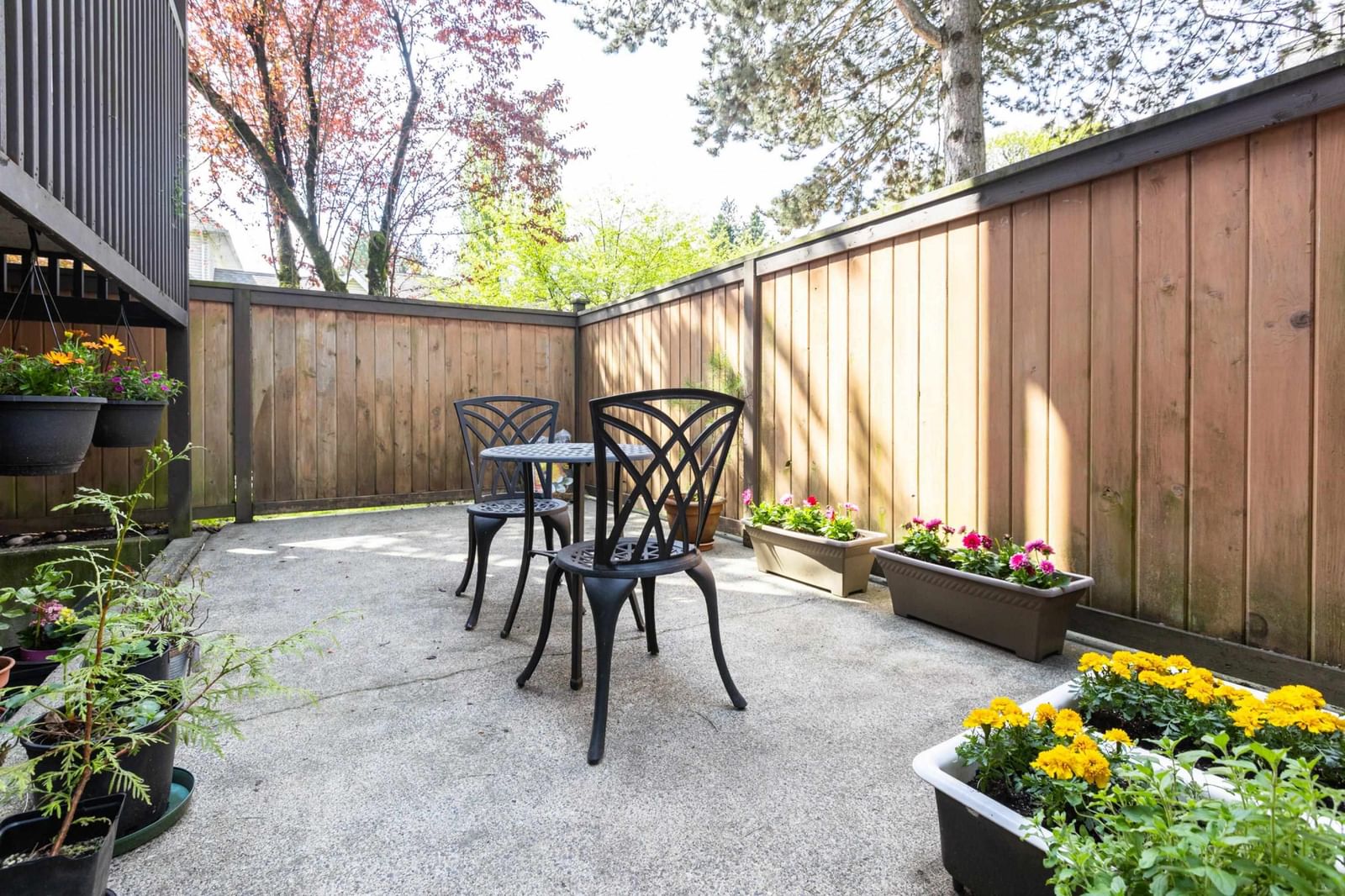Listing Image 23