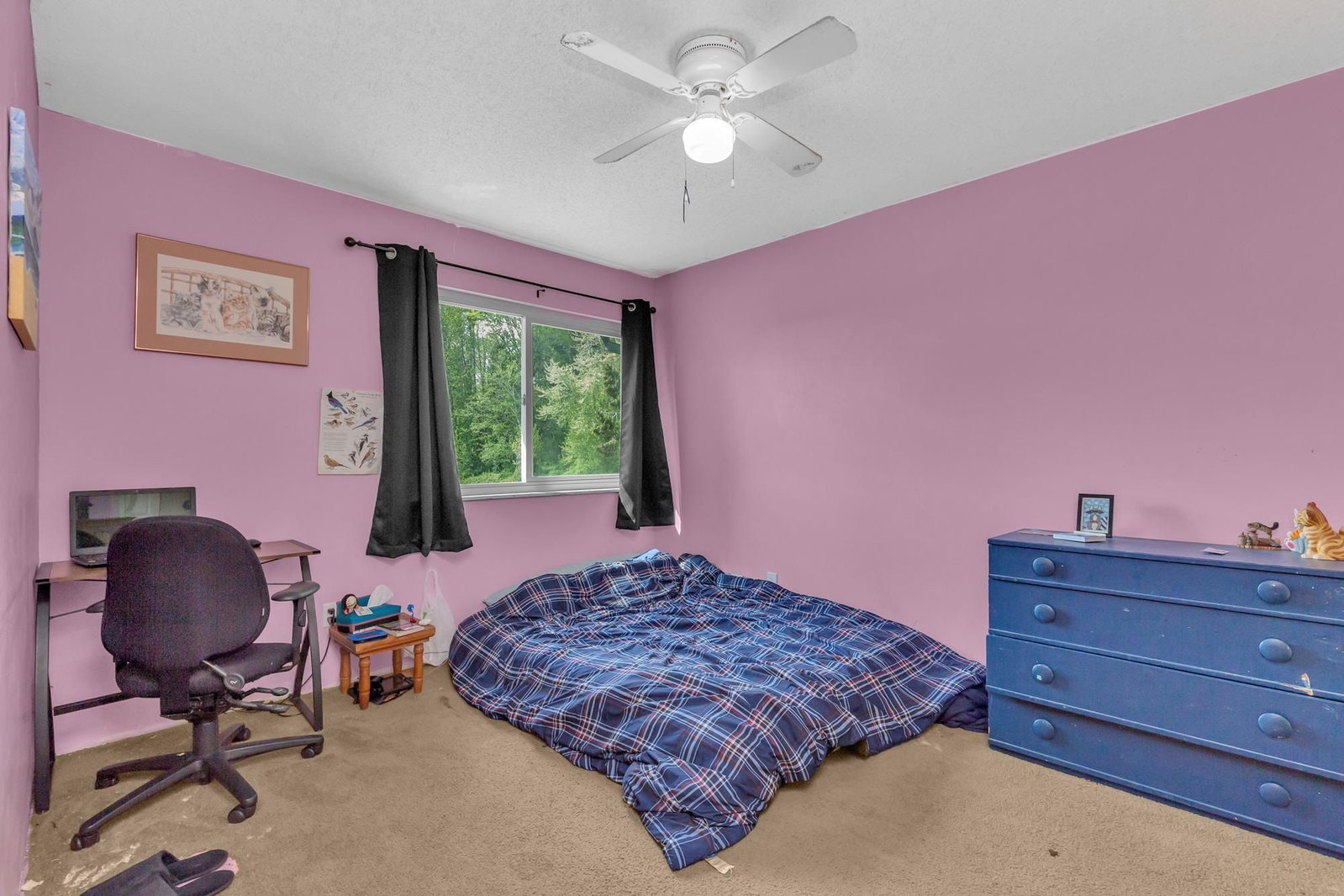Listing Image 14