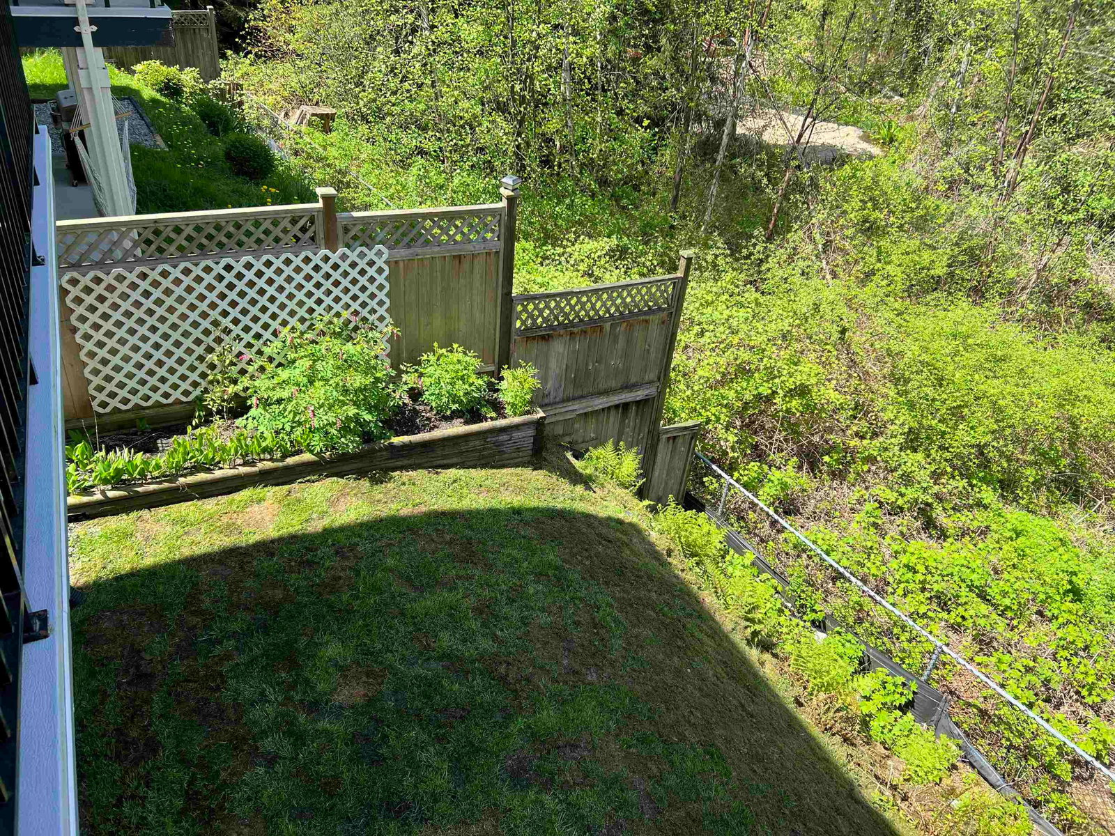 Listing Image 38