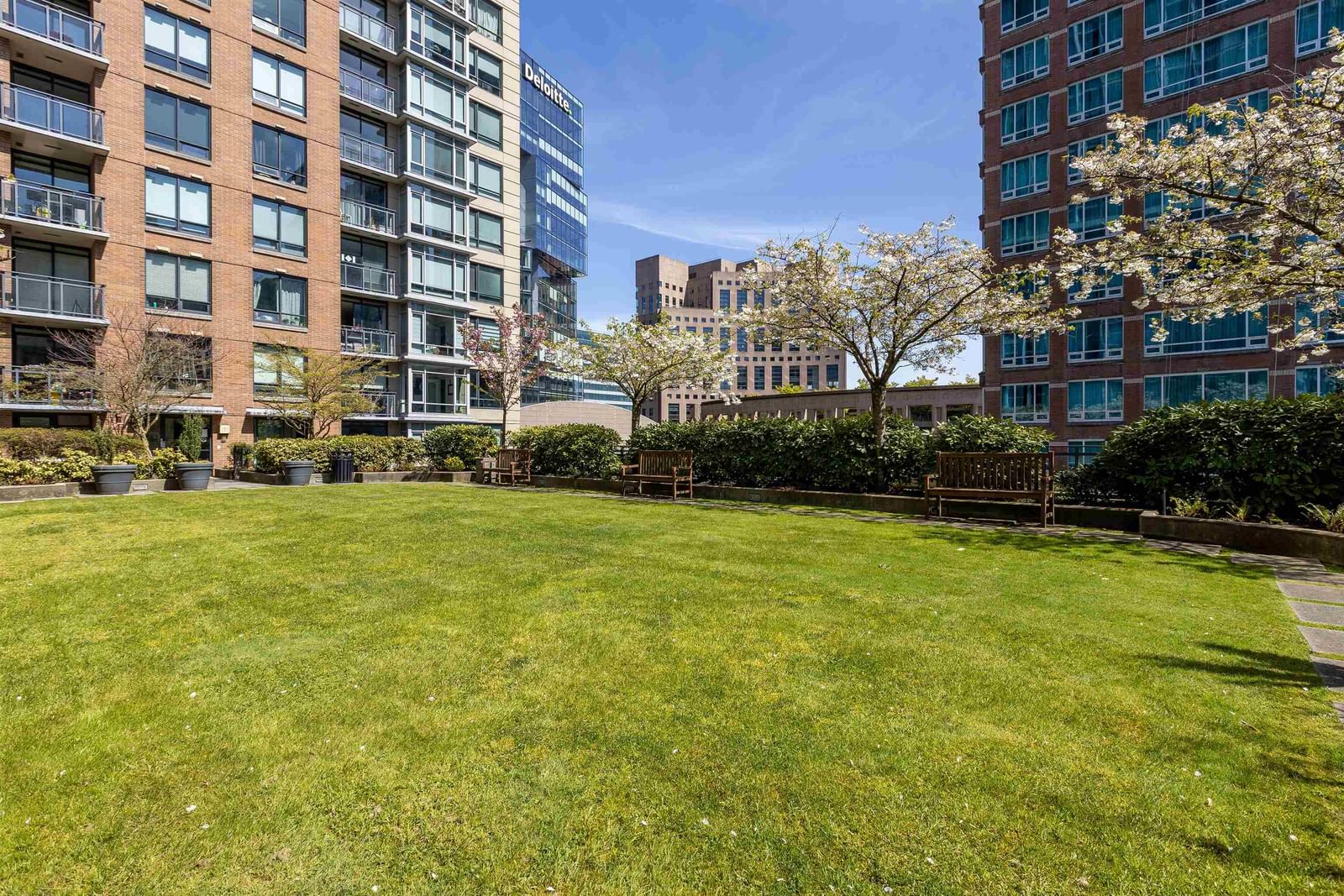 Listing Image 19