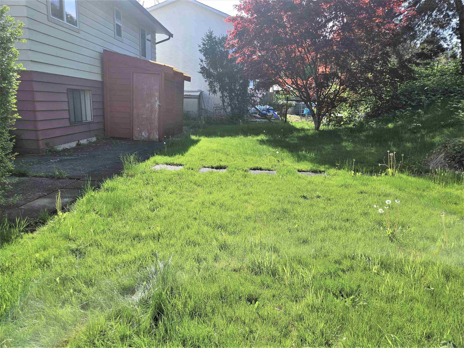 Listing Image 17