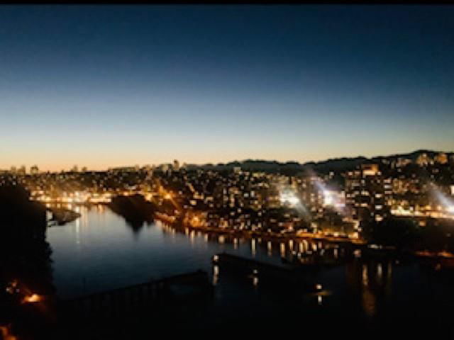 #1103 - 210 Salter Street