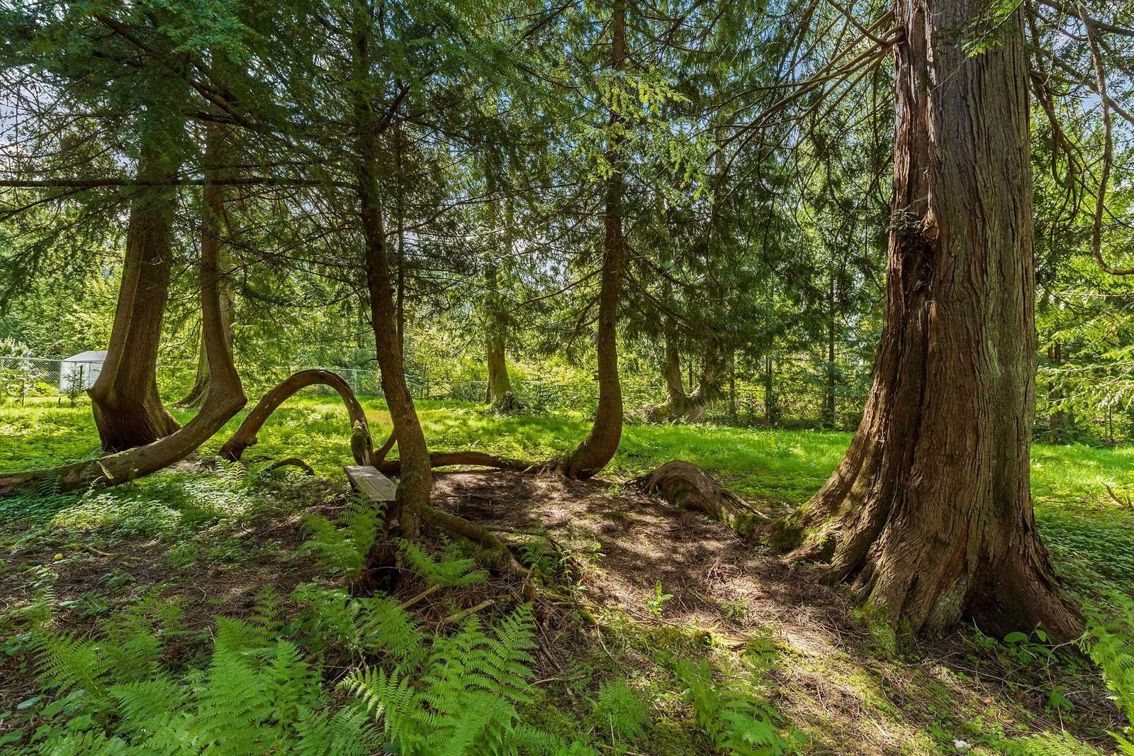 Listing Image 34