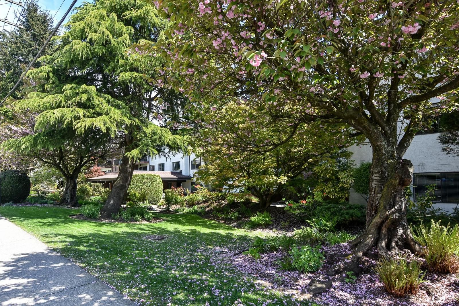 Listing Image 36