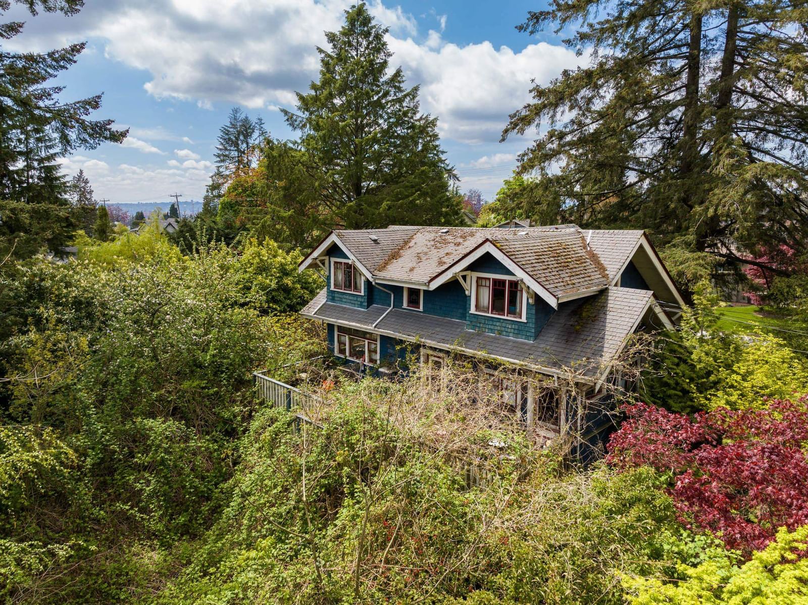 Listing Image 11