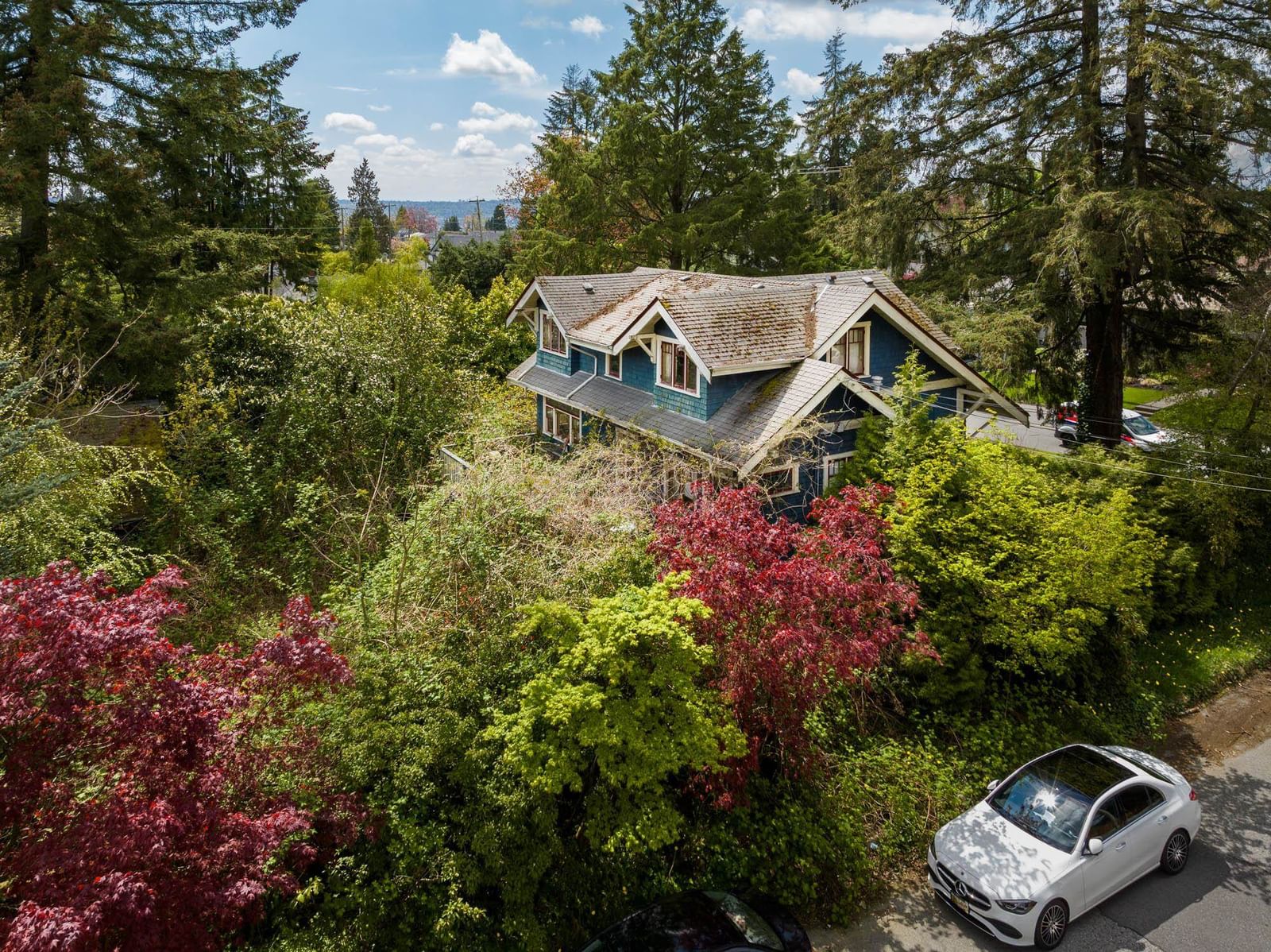 Listing Image 12