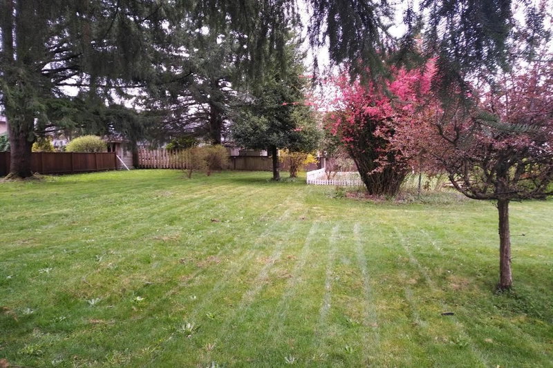 11726 203 Street, Maple Ridge, V2X 4T9 | Image 2