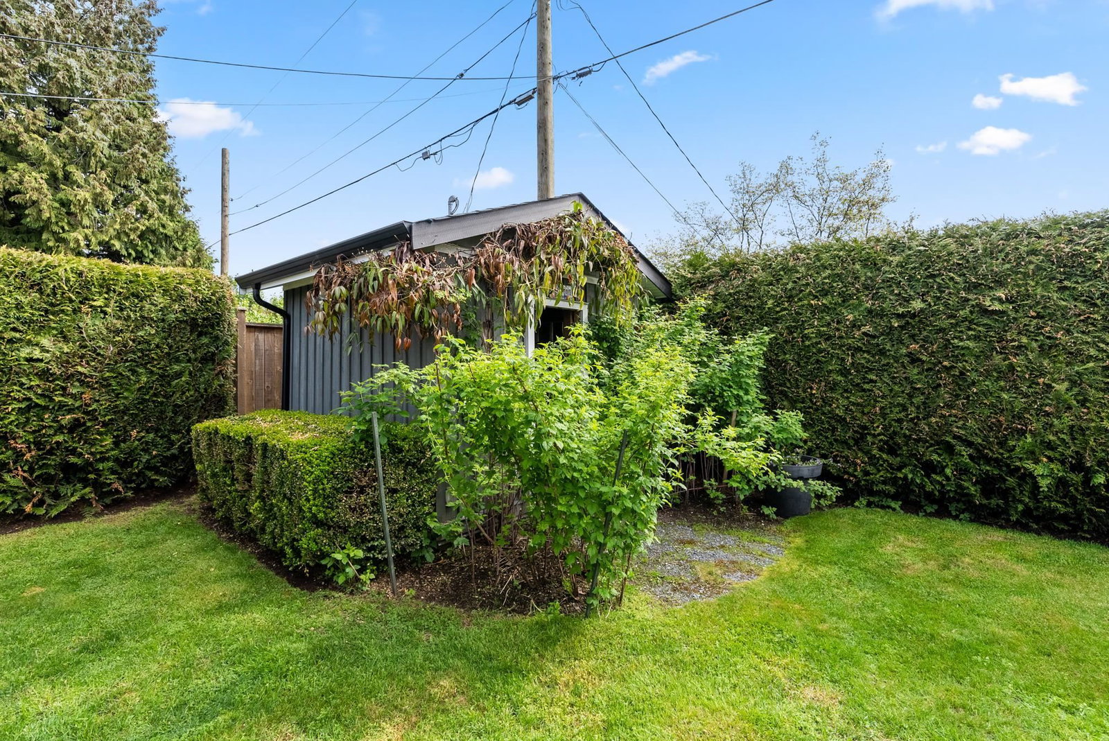 Listing Image 31