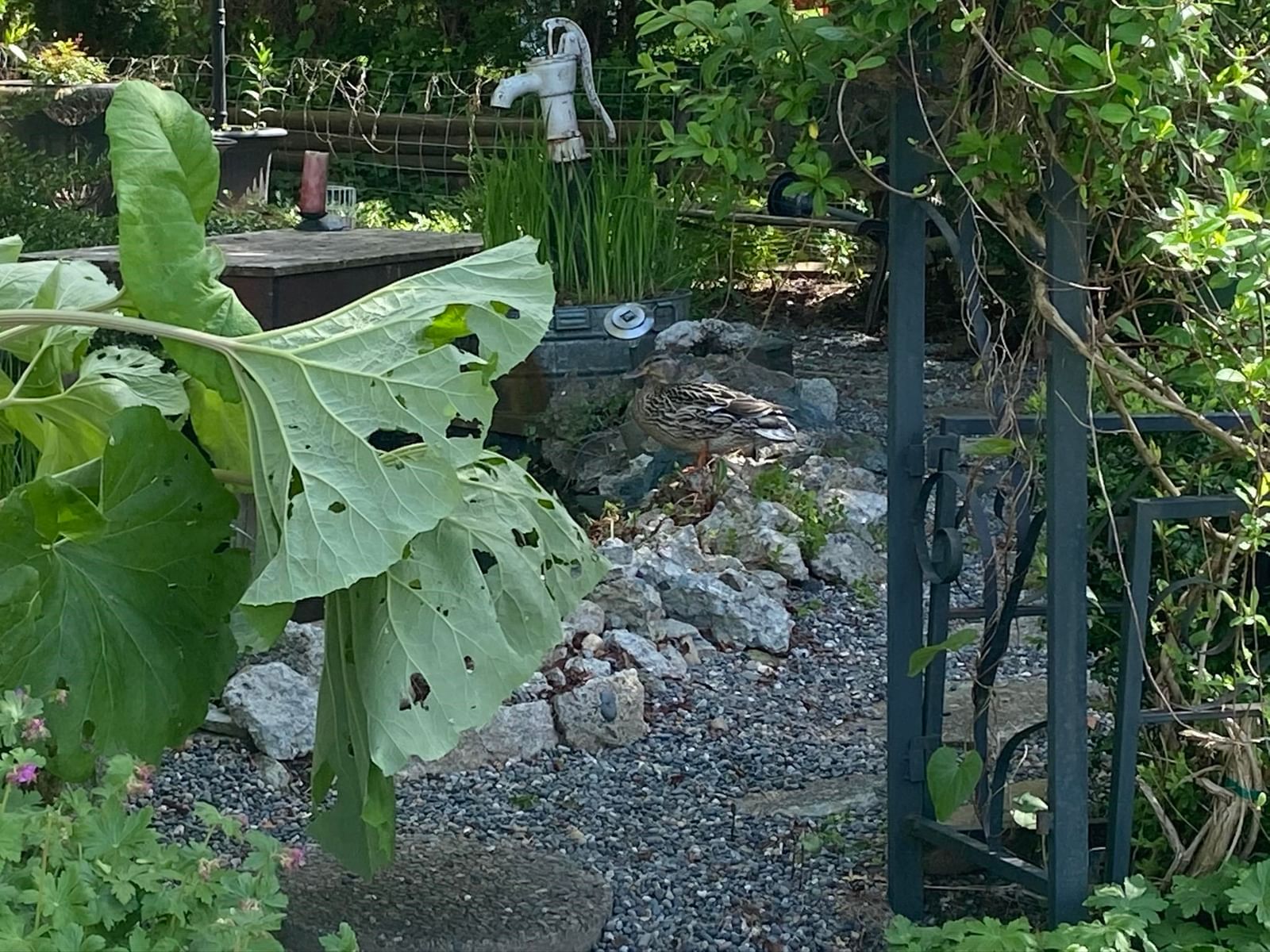 Listing Image 37