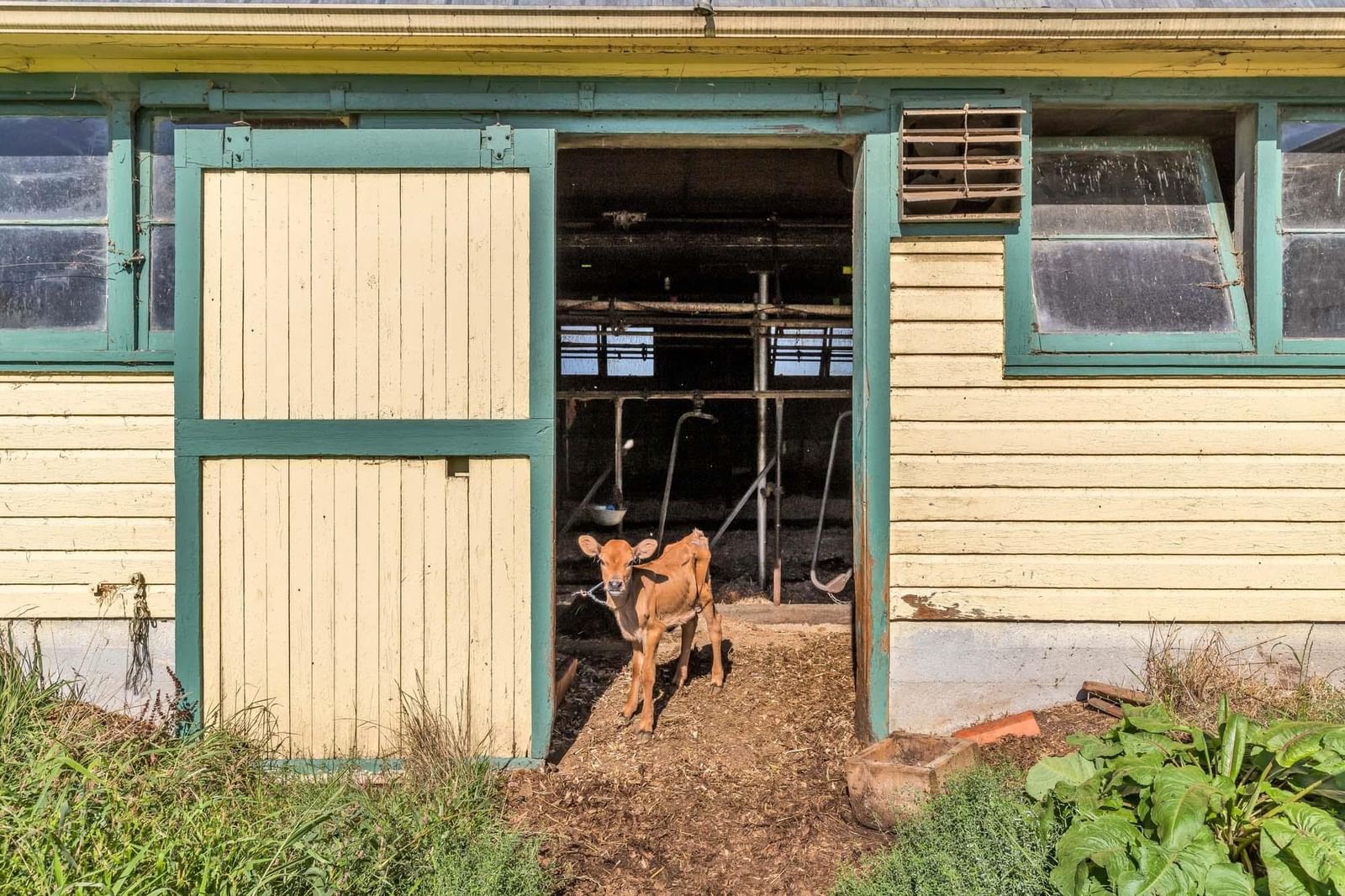 Listing Image 13